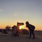 Visita a Jaislamer con Safari en Camello y Excursión al Atardecer en el Desierto