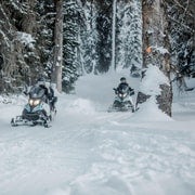 From Jackson: Yellowstone Grand Canyon Snowmobile Tour