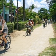 Hoi An Countryside: Guided Morning or Afternoon Bicycle Tour
