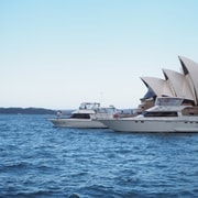Sydney: Crociera mattutina e tour panoramico della città nel pomeriggio