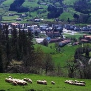 Ruta del queso Idiazabal desde San Sebastián