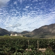 Tour privato di un giorno intero lungo la strada del vino