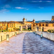 Da Siviglia: tour privato o di gruppo di un giorno intero a Cordova