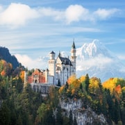 From Munich: Neuschwanstein and Munich Christmas Market Tour