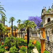 Sevilla: Catedral, Giralda y Reales Alcázares Visita Guiada