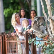 Melbourne Zoo: 1-Day Entry Ticket