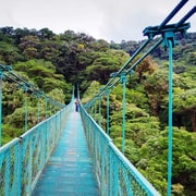 Desde San José: Excursión de un día a los Puentes Colgantes de Monteverde
