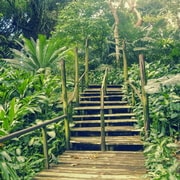 Nadi : Circuit des sources d'eau chaude et des temples de Garden Village