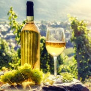 Depuis Strasbourg : sur la route des vins d’Alsace