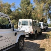 De Arles: Excursão de Meio Dia na Camarga em Veículo 4x4