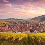 Excursión de un día a las 4 Maravillas de Alsacia desde Colmar