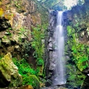 From Foz do Iguaçu: Secret Falls Adventure