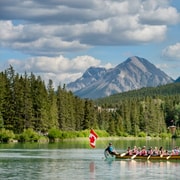 Banff: Vida selvagem no rio Bow Passeio em canoa grande