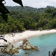 Excursão combinada ao Parque Nacional Manuel Antonio a partir de San José