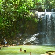 Suva : Visite de la nature fidjienne et des chutes d'eau