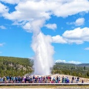 De Jackson: excursão de um dia a Yellowstone, incluindo taxa de entrada