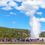 Desde Jackson: Excursión de un día a Yellowstone con entrada incluida