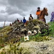 Reykjavik: Excursão a cavalo ao vulcão em pequenos grupos com serviço de busca