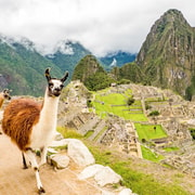 Machu Picchu: Full-Day Tour from Cusco with Optional Lunch