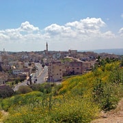 From Amman: Jerash, Umm Qais, and Jesus' Cave Private Trip