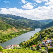 Do Porto: Excursão de 1 dia ao Douro Histórico