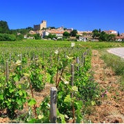 Avignon: Full-Day Wine Tour around Châteauneuf-du-Pape