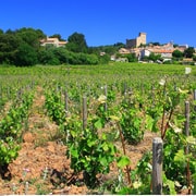 Avignon: Ganztagestour durch die Weinregion Châteauneuf-du-Pape