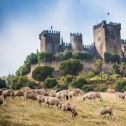 Cordoue : Billet d'entrée au château d'Almódovar