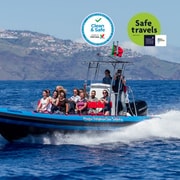 Funchal: Crociera per avvistare le balene e i delfini
