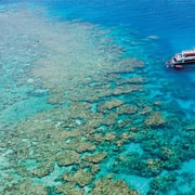 Cairns: Schnorchelausflug zum Great Barrier Reef mit Mittagessen