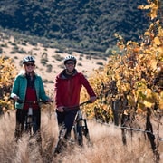 Queenstown: Excursión autoguiada en bicicleta por las Bodegas del Valle de Gibbston