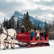 Banff: Family Friendly Horse-Drawn Sleigh Ride