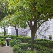 Cordoue : Billets d'entrée pour les jardins et les patios du Palais de Viana