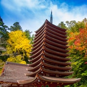 Nara: Private Tour mit privatem Guide