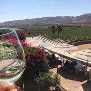 From Tijuana: Valle de Guadalupe Private Winery Tour