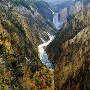 Yellowstone Ouest : Excursion d'une journée à Yellowstone avec droit d'entrée