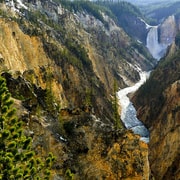 West Yellowstone: Yellowstone Tagestour inklusive Eintrittsgebühr