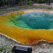 West Yellowstone: Tour di un giorno di Yellowstone con ingresso incluso