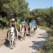 Mallorca: Excursión a Caballo y Cata de Vinos