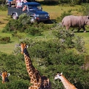 From Cape Town: Kruger National Park 2-Day Safari Trip