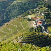 De Peso da Regua : Visite de la vallée du Douro