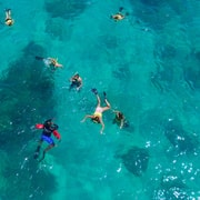 Fajardo: Cruzeiro de mergulho com snorkel em Cayo Icacos com escorregador e almoço