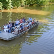 Leipzig : Visite de la forêt riveraine sur la Pleiße