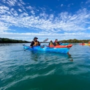 Adelaida: Excursión en Kayak por los Manglares del Santuario de Delfines