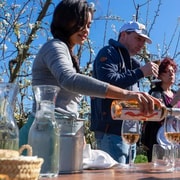 Maiorca: Tour di un giorno delle cantine in piccoli gruppi