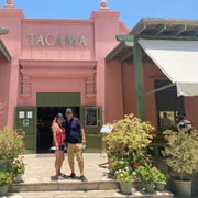 Von Ica oder Huacachina aus: Wein und Pisco-Weinberge Tour