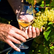 Nice: Provence Village Tour with Wine and Produce Tasting