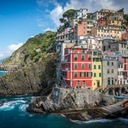 Riomaggiore: Vineyard & Wine Cellar Tour with Wine Tasting