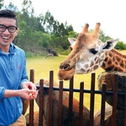 Gold Coast: ingresso para o zoológico da Austrália e traslado de ida e volta