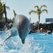 Benidorm: Mundomar Animal Park Entrance Ticket